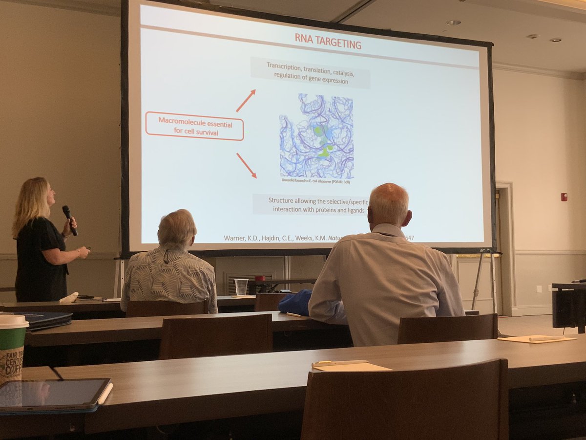 Session 5 of #FACSXVIII <a href="/FrenchAmChemSoc/">French-American Chemical Society</a> with <a href="/MariaDuca_CNRS/">Maria Duca</a> <a href="/NiceChemistry/">Institut Chimie Nice</a>, <a href="/BorisVauzeilles/">Boris Vauzeilles</a> <a href="/ICSN_lab/">icsn_upr2301</a> and Fabien Rodier <a href="/sanofi/">Sanofi</a> , great talks and exciting results!