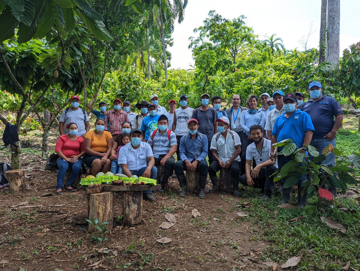 procacao's tweet photo. Helen Mier, Asesora Técnica Jefa en ONUDI y Carlos Escobar, Consultor para Certificación de cadenas de valor de cosméticos de Colombia, visitaron productores/as y cooperativas de cacao en el Triángulo Minero, para conocer la experiencia del #PROCACAO

#Nicaragua #ONUDI https://t.co/uMSbyRCoxt