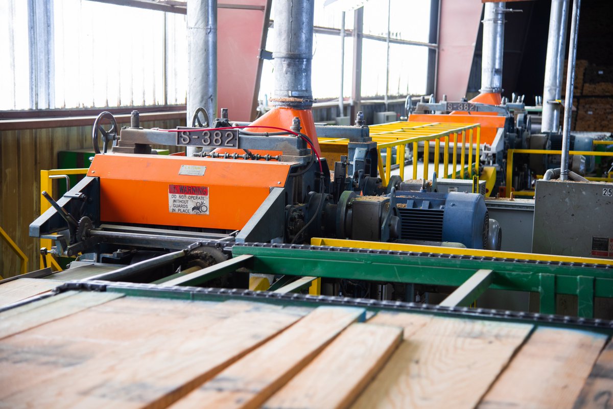 CompanyNewman's tweet photo. The S-382e Planer processes lumber to target thickness. Feed speeds up to 300 FPM and can be equipped with either Helical Carbide or High-Speed Steel cutterheads.

#woodworking #woodworkingtools #woodworkingcommunity #hardwood #hardwoodlumber #hardwoodlumbercompany #planermill https://t.co/0YL04lvDcu