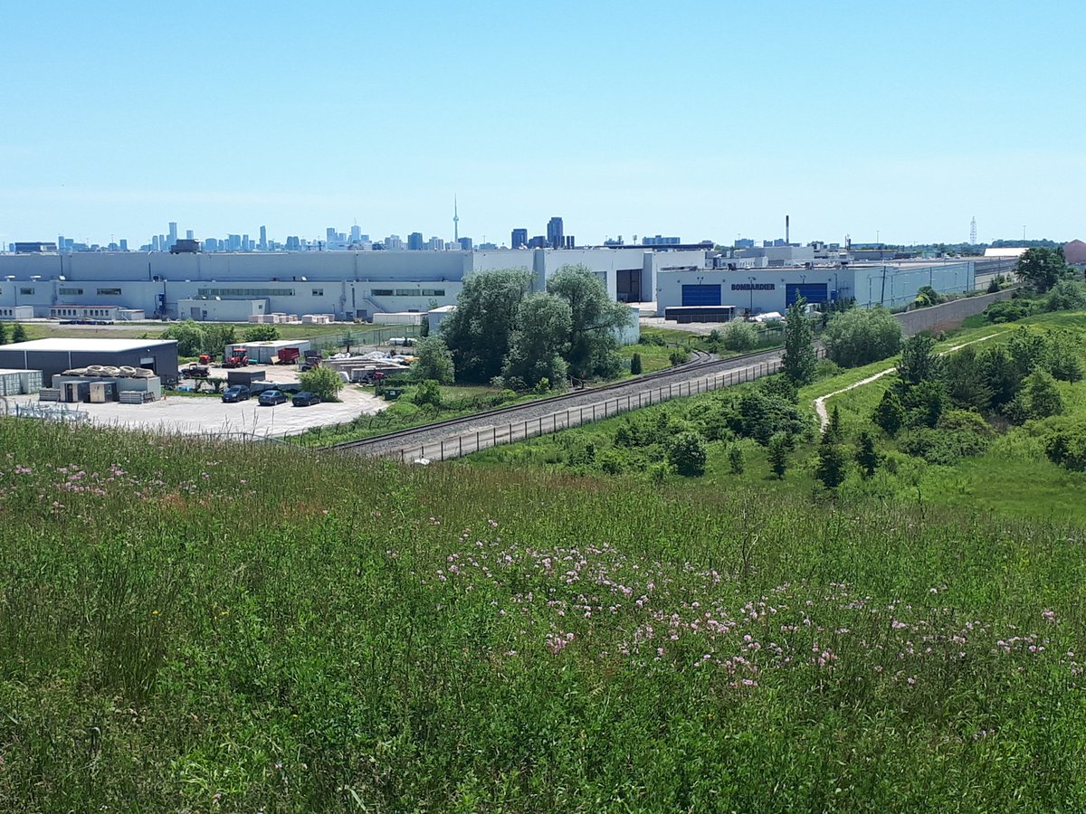 davidsitplanTo's tweet photo. Enjoying the day at ID8 with the Northcrest, CLC and city of toronto team. Standing on the Bombardier runway.  Luckily no planes are landing #gregglintern https://t.co/bmHQYt25RY