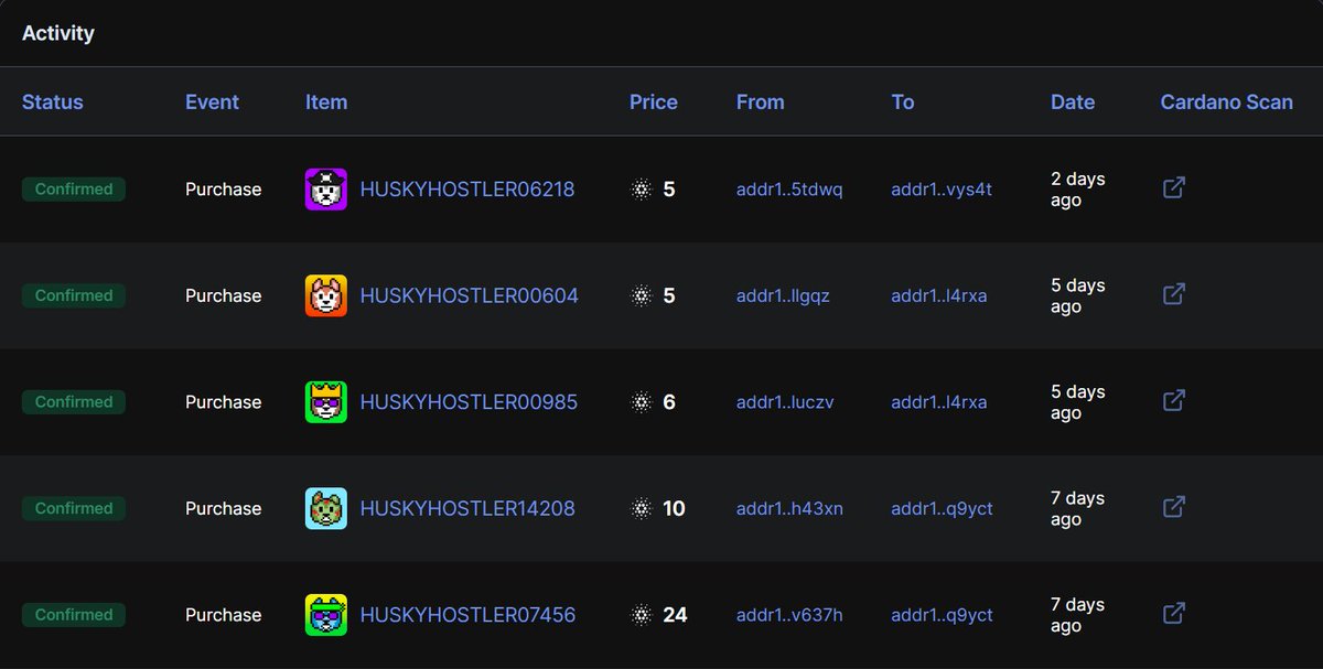 Husky Hostlers tweet media