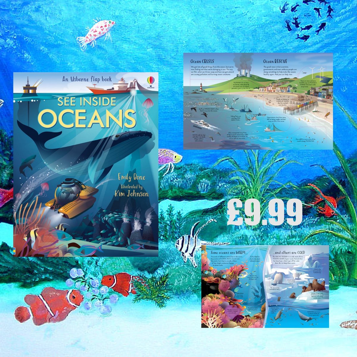 emmalouises94's tweet photo. Take a dive into the depths of the ocean with this flap book see inside oceans, its beautifully illustrated and full of interesting facts  from the ocean crisis to why some oceans are hot and some are cold 
£9.99 Message to order or for information https://t.co/1ND4d279HH