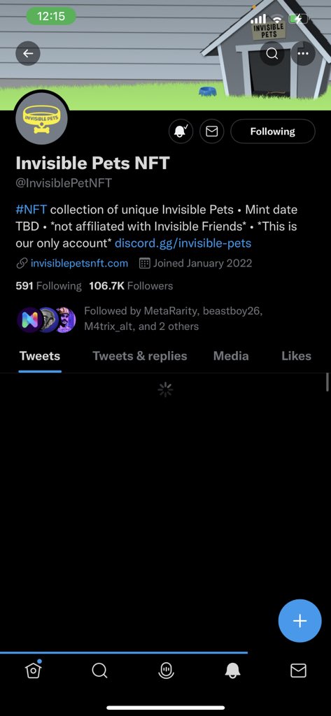 hotcheethoees's tweet photo. @InvisiblePetNFT yoo https://t.co/5l9vufOl9T