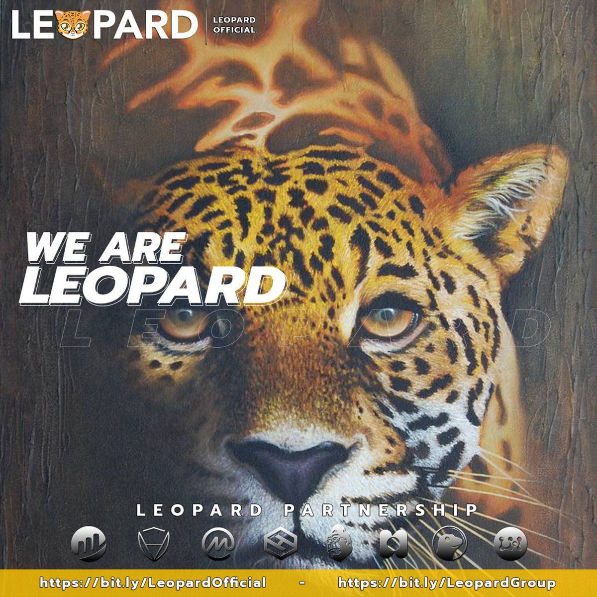 JUSTMIKA2637's tweet photo. @ChinaPumpWXC @Leopardbsc #LeopardBsc https://t.co/QvNg1HCrMk