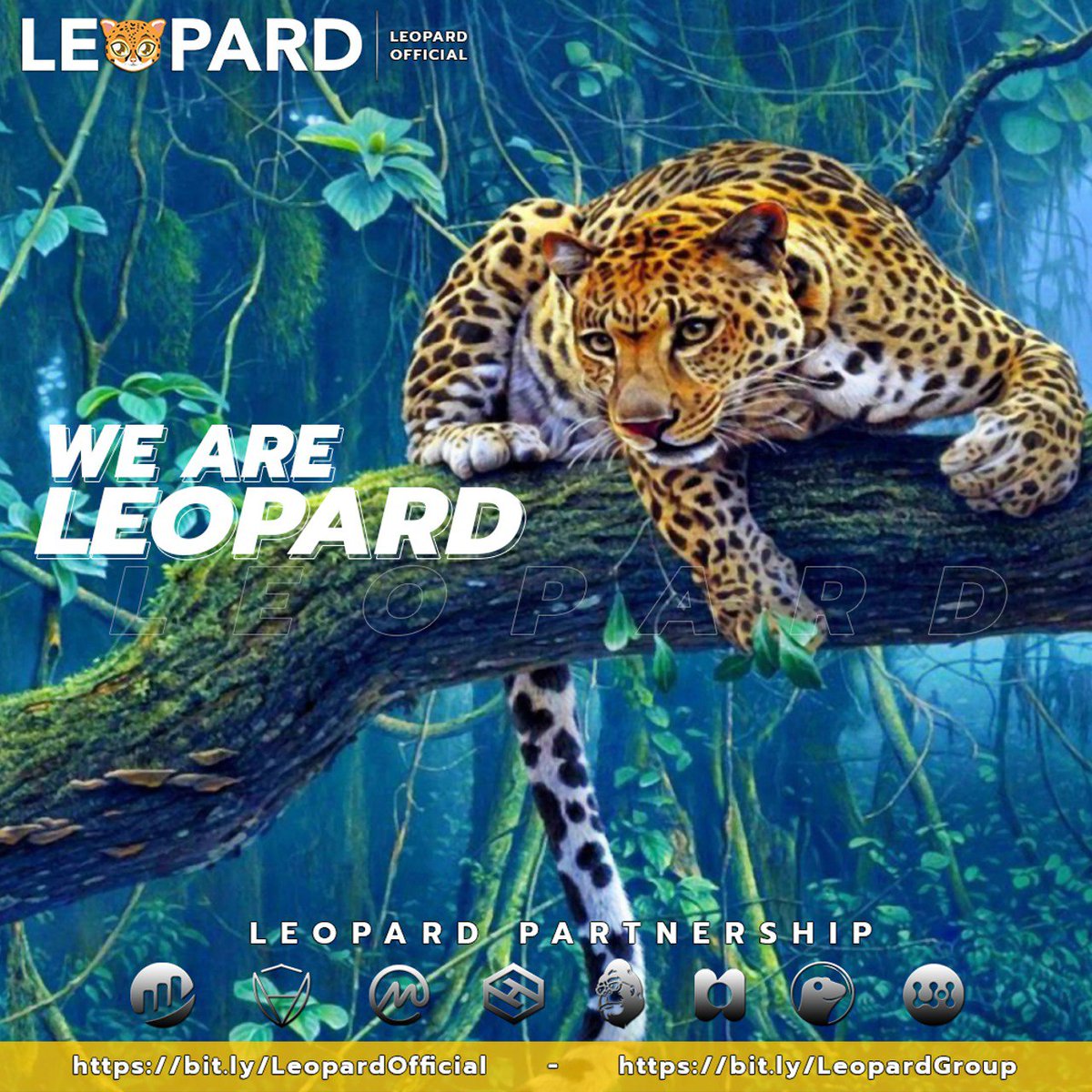 JUSTMIKA2637's tweet photo. @ChinaPumpWXC @Leopardbsc #LeopardBsc https://t.co/EnxrO61Tit