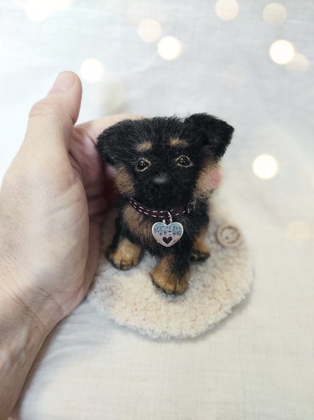 BearPile's tweet photo. Puppy Don by igrushkadm https://t.co/qBYqmzmhgq #handcrafted #collectibledogs #dog https://t.co/fkG8SIFAsb