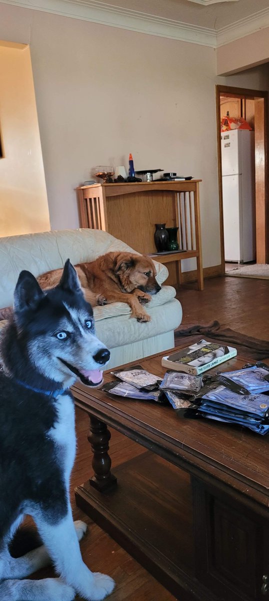 Hero my house sitting doggie enjoying training and boarding with his new buddy Zoosk! :)