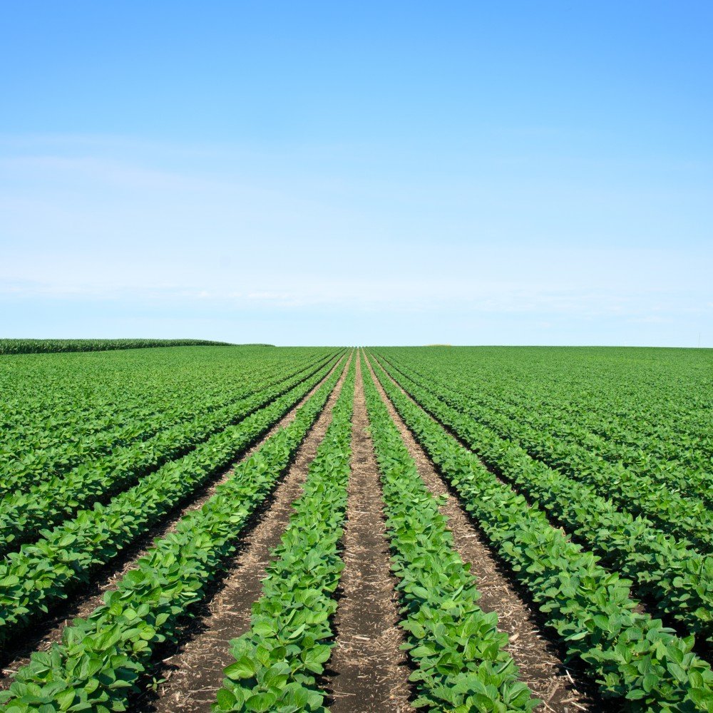 KazunguMireille's tweet photo. Farming should not be a battle against #nature, let's promote #sustainable agriculture. https://t.co/qDYoRKXyUG