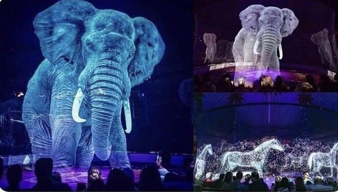 German Circus uses holograms instead of real animals for a cruelty-free experience