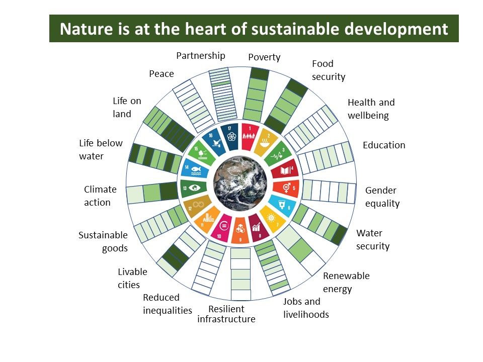 Nature is the heart of #SustainableDevelopment.

🏞️Healthy #ecosystems  are essential in enabling nature to sustain and provide for us.

📌It starts with you and your choice to take effective actions and others will get inspired in the process to do the same.  #ActForNature