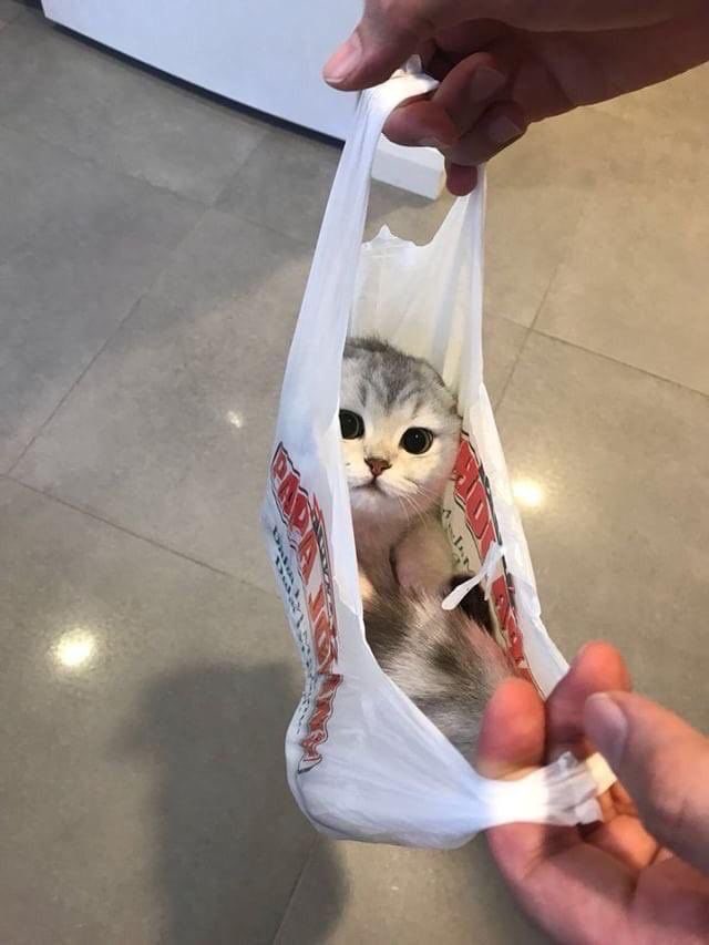 comtedotnet's tweet image. ถึงบ้านแล้วค่ะ