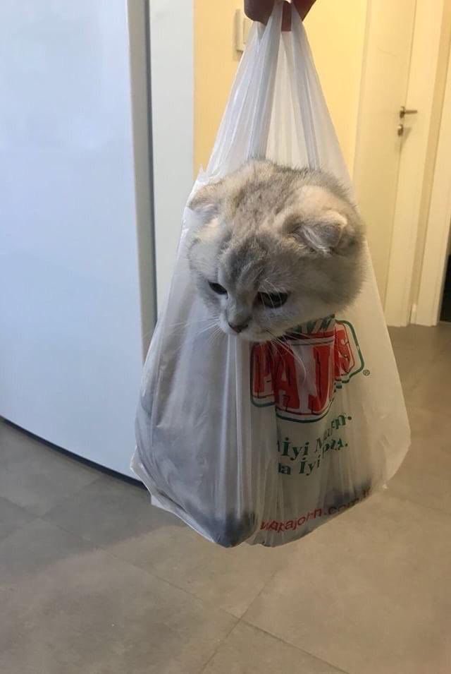 comtedotnet's tweet image. ถึงบ้านแล้วค่ะ