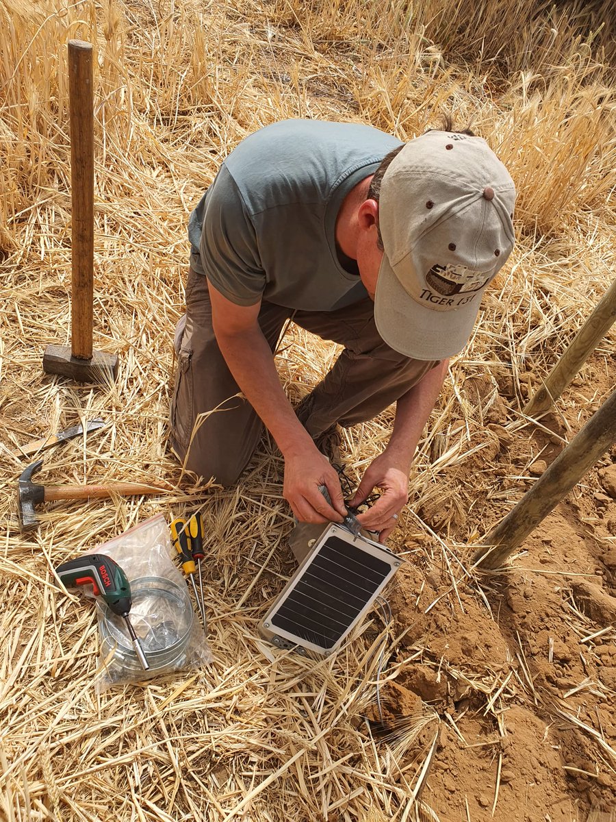 drarnoutvans's tweet photo. Installing #Freestations for @h2020reset project in Duero basin, Spain, during a #heatwave 🤦♂️☀️Great team and really glad we had a digger (and lots of water) @kclgeography @icatalist https://t.co/lS9nBbVYCJ