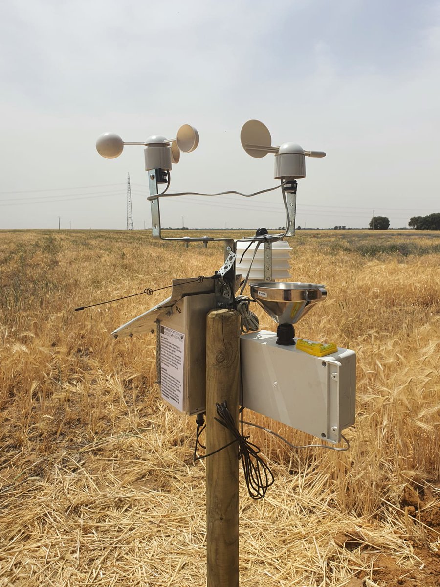 drarnoutvans's tweet photo. Installing #Freestations for @h2020reset project in Duero basin, Spain, during a #heatwave 🤦♂️☀️Great team and really glad we had a digger (and lots of water) @kclgeography @icatalist https://t.co/lS9nBbVYCJ