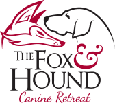 SarLamChamber's tweet photo. The Fox and Hound Canine Retreats' Daycare is a doggy favourite. Did you know they also offer grooming, training and overnight accommodations?
Make sure to check them out July 9th at Dog Days of Summer Weekend Walkabout!
#foxandhound #caninetreat ##weekendwalkabout #doggiedaycare https://t.co/6PMZnvu5gD