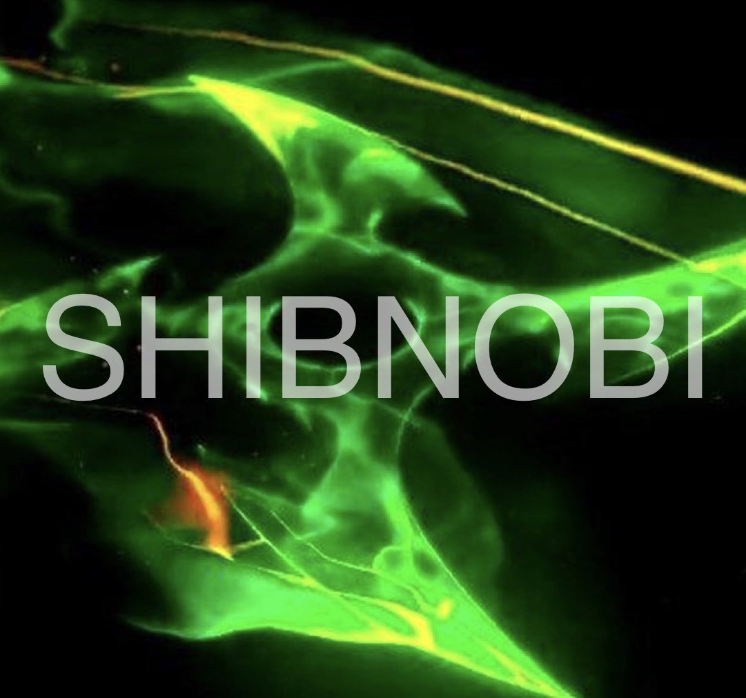 Mina6567's tweet photo. @Chandra70827548 @Jonneh_Tsunami @Shib_nobi #SHINJA 🚀
          #SHINJA 🚀
        #SHINJA 🚀
     #SHINJA 🚀
   #SHINJA 🚀
#SHINJA 🚀
#SHINJA  🚀 
  #SHINJA  🚀  
    #SHINJA  🚀 
      #SHINJA  🚀 
         #SHINJA  🚀 
            #SHINJA  🚀 https://t.co/KqtVhpgh7I https://t.co/uFUuGLHEcr