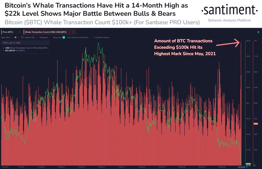 Største Bitcoin-hval, der findes i akkumulationstilstand, lagrer $20,900,000 i BTC PlatoBlockchain Data Intelligence. Lodret søgning. Ai.