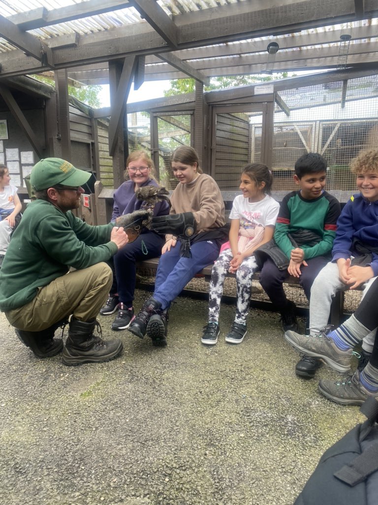 St_GeorgesCPS's tweet photo. The Birds of Prey centre was fascinating. Some fun at the park was an added bonus! https://t.co/KIRDhhbnMd