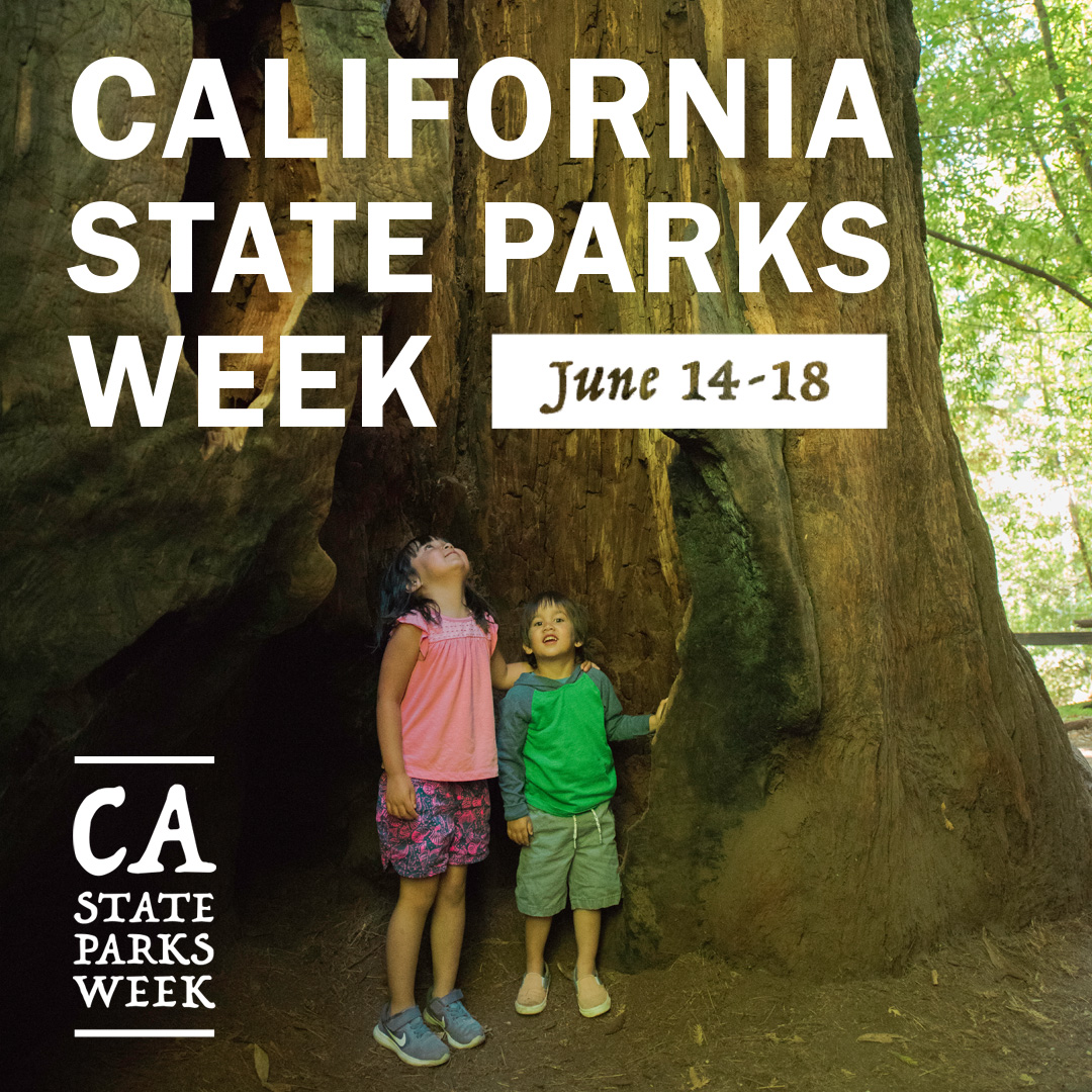 Governor Gavin Newsom today issued a proclamation declaring June 14-18, 2022 as #CaliforniaStateParksWeek, celebrating California’s 279 state parks & highlighting the importance of outdoor access to the health & well-being of our communities. Read more: bit.ly/3mP1w8W