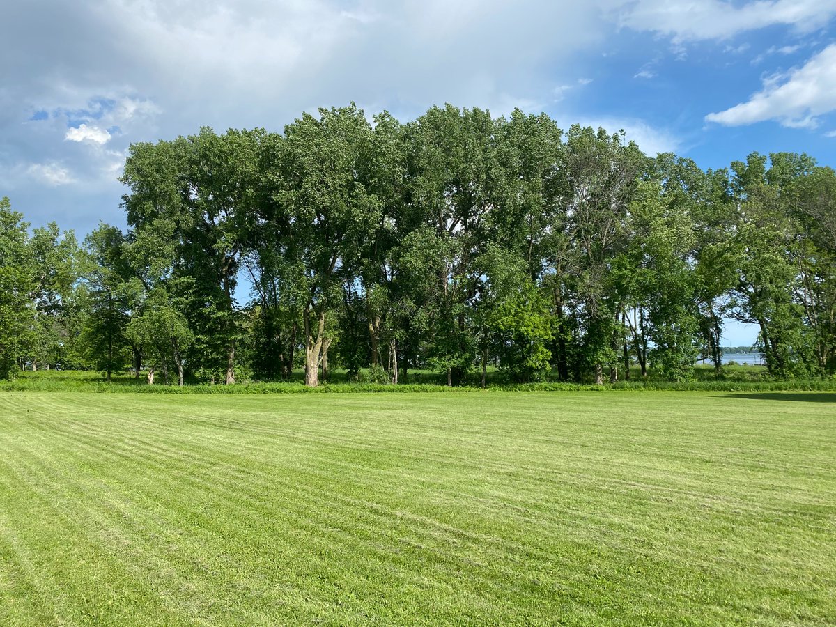 madvegfest's tweet photo. Have a peek at the 2022 fest location! It has a great view of Lake Waubesa, and is surrounded by lush fields and wooded areas. Bring a blanket and settle in for a day at the park, while you enjoy the fresh air, vegan treats, exhibitors, children's areas, music, workshops, &amp; more! https://t.co/dm6tSNwNfq