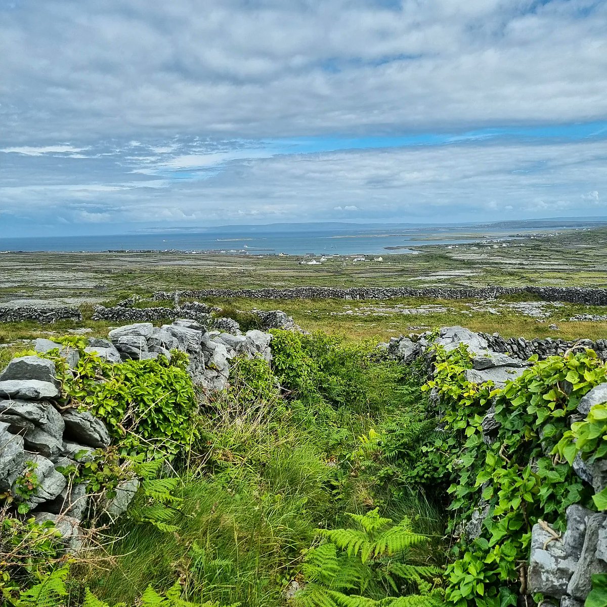 Btwn a rock &amp; a hard place☀️📍🇮🇪 #InisMór #aranislands