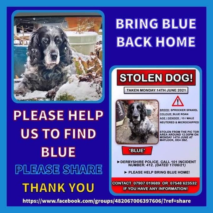 blacklab115's tweet photo. Twitter friends,you are amazing!Thank you for helping spread #findBlue's poster.Please keep doing your generous deed,blue needs us all to come together to get him home.Thank you to all that are joining in tonight.x https://t.co/Jngq8NpFjh
