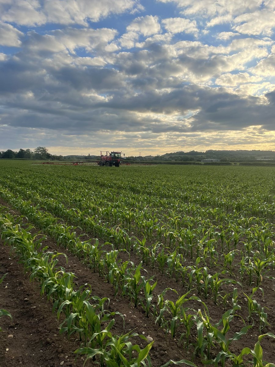 Herbicides going on to the maize this evening, really kicking on!