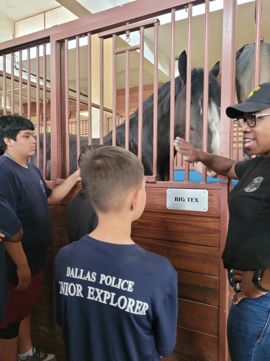 DPDJRExplorers's tweet photo. Thank you, Sr. Cpl. Morgan, for giving us a tour of the stables &amp; teaching us about @DallasPD Mounted Unit! @TacticalDPD 🚨🐎 #HayThere #JustHorsingAround
@DPDChiefGarcia @AShawDPD @LeroyQuigg @DPDMunoz @DallasPAL @DPYF4Kidz https://t.co/xDmNzl7zcM
