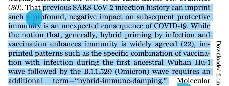 TaNaishaJ's tweet photo. Card-carrying members of the #immunity_only, #anti_NPI #cult, your #vaccine_induced_protection, your #booster_induced_protection &amp; your #natural_immunity ARE NOT an impenetrable force field of protection.

Please, take a look at this. Please!

#COVID19 #excess #death #orphanhood https://t.co/wqxbWlluUi