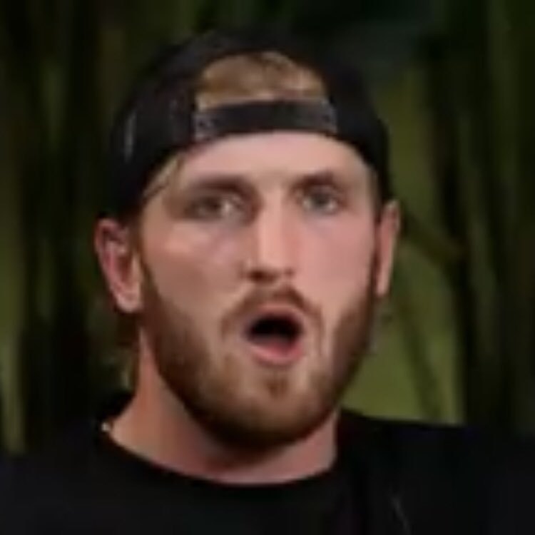 berdi_yev's tweet photo. let’s go #twitter ! Do your best! #meme #loganpaul @LoganPaul https://t.co/TSYKGnqBRD