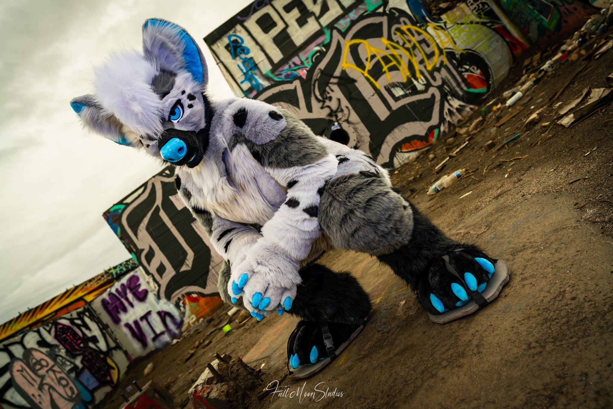 Reno Hyena (@RenoHyena) / Twitter