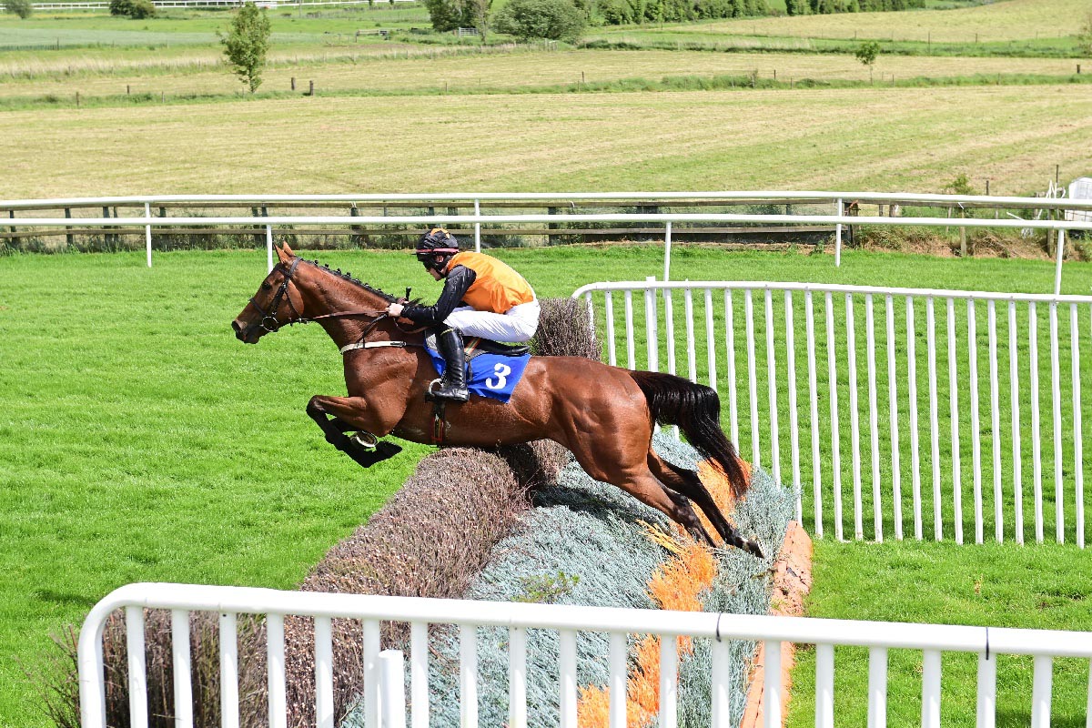 LorusProjects's tweet image. Paddys Planet going into Orbit at Downpatrick at the weekend with an exhibition of jumping until an unfortunate novicey error at the second last. An exciting prospect ahead so enjoy your summers grass. From one first time very happy  owner!
Thanks to Ross O'Sullivan and team