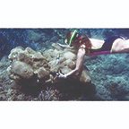 INSTAP Academic Press tweet media