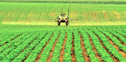 CuriousDaily1's tweet photo. Sustainable agriculture is the best way to feed the world.
#agriculture https://t.co/FBmPPmaFXG