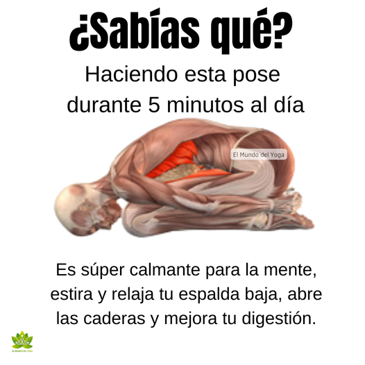 5 minutos al dia...