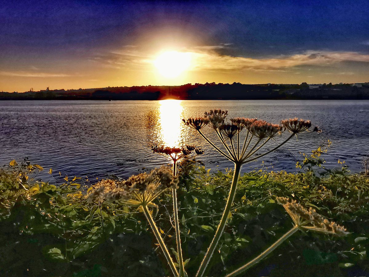 JackieGMs66's tweet photo. Beautiful evening on The Ride @Plymouth2013 @visitplymouth @DestinationPlym @britainsocean @oneplymouth @SaltramHouseNT #sunset #Plymouth #Plym #beauty https://t.co/oGANe5ryRf