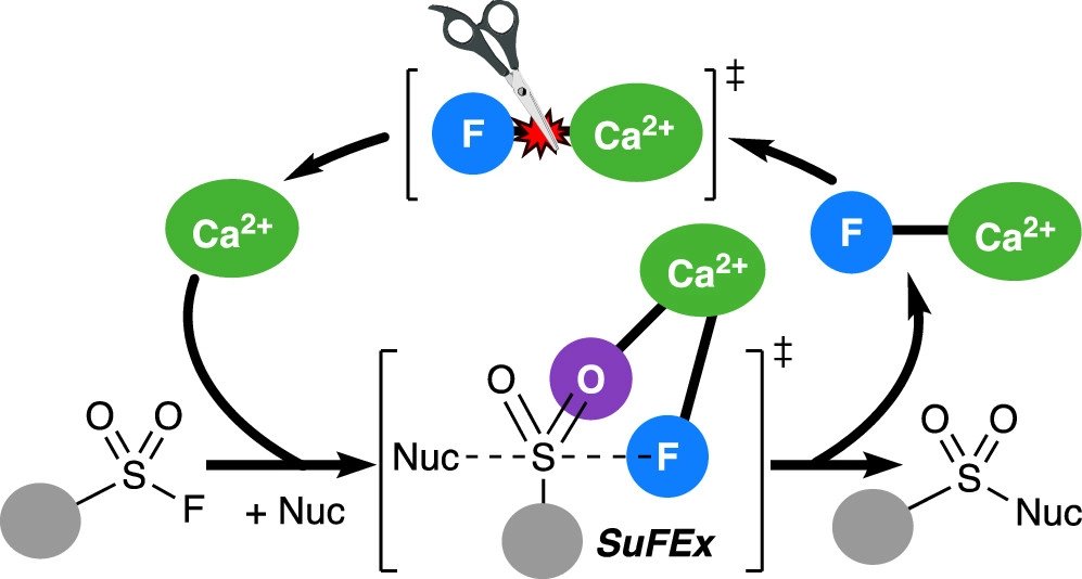 bhkenlo's tweet photo. Calcium Bistriflimide-Mediated Sulfur(VI)–Fluoride Exchange (SuFEx): Mechanistic Insights toward Instigating Catalysis https://t.co/KZsA0VurHA Ball, Ogba, and co-workers @InorgChem #calcium #sulfur_fluoride_exchange #SuFEx #sulfonyl_fluorides #amines #catalysis #DABCO https://t.co/zRVdWnj3Si
