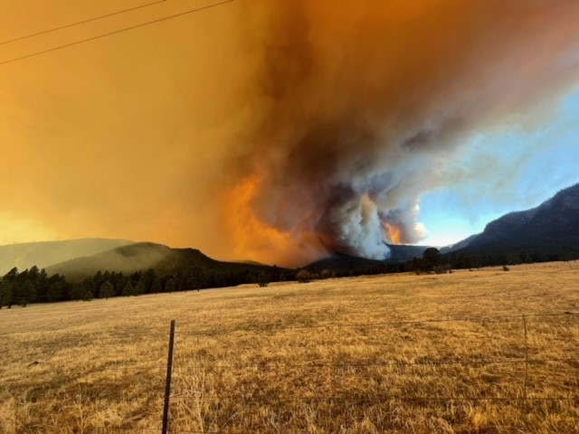SedonaFD's tweet photo. @SedonaFD has crews working the #pipelinefire near Flagstaff and personnel still assigned to fires in NM. Stay safe out there!
@VerdeNews @sedonanews @YBC_News @kaffnews @KVRD1057 @BizSedona @CityofSedonaAZ @SedonaChamber @wildfirenews @wildfiretoday @IAFFNewsDesk @AZFirefighters https://t.co/7fYWS2Gdvi