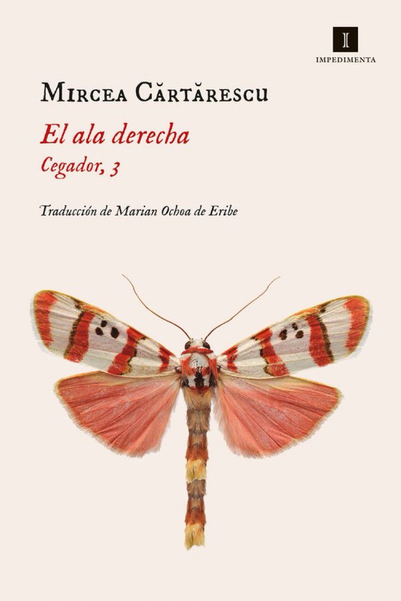 LectoraCaseta's tweet photo. ¿De veras? ¿Ya? ¿Comienza el verano con la promesa de un nuevo otoño? Miles de abrazos a @EdImpedimenta ❤️📚#Cartarescu #Cegador trad. Marian Ochoa de Eribe 🌹 https://t.co/gZ5WrxN1et