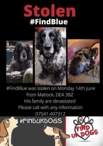 juliagarland73's tweet photo. #bringBluebackhome https://t.co/bfgd5XDTqC