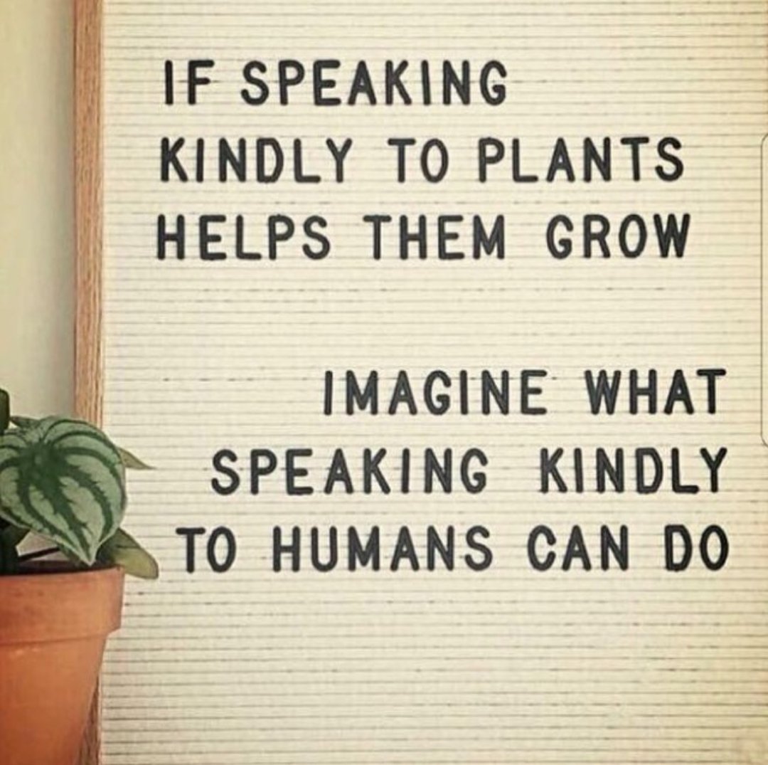 Kindness counts! 🌱
📷 Unknown