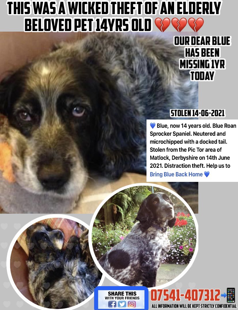 juliagarland73's tweet photo. #bringBluebackhome https://t.co/0O9biSN1NJ