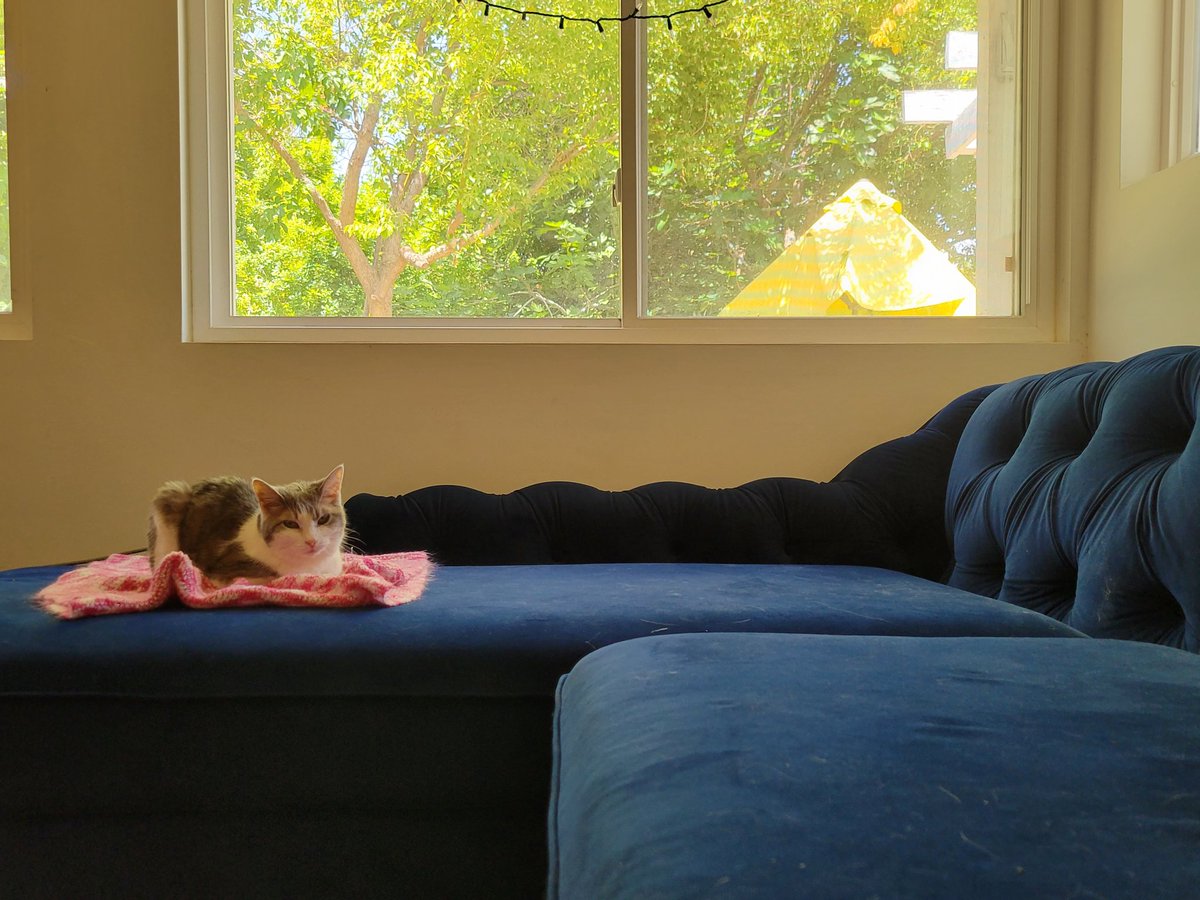 Brianna Knickerbocker tweet media