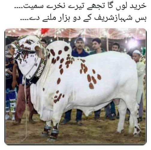 #امپورٹڈ_حکومت_نامنظور