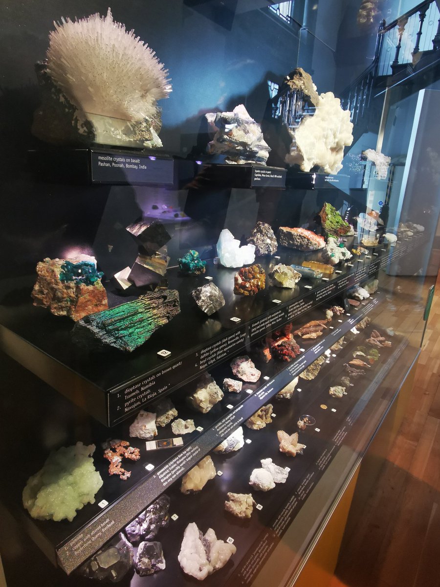 Georgia Orton tweet media