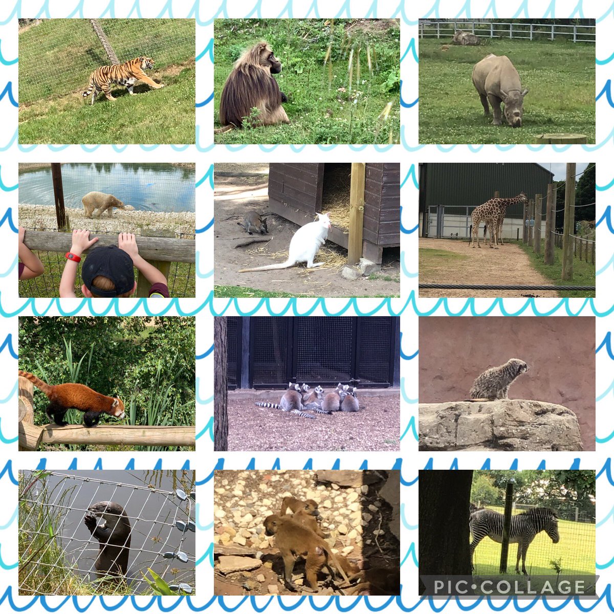 Class4DPS tweet media