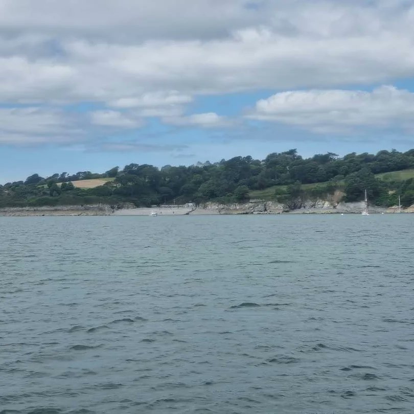 CruisesKernow's tweet photo. A lovely trip this morning down the Helford River #helfordriver #lovefalmouth #cornwall #medinamist #lovewhereyoulive #princeofwalespier https://t.co/a3jR81xXTb