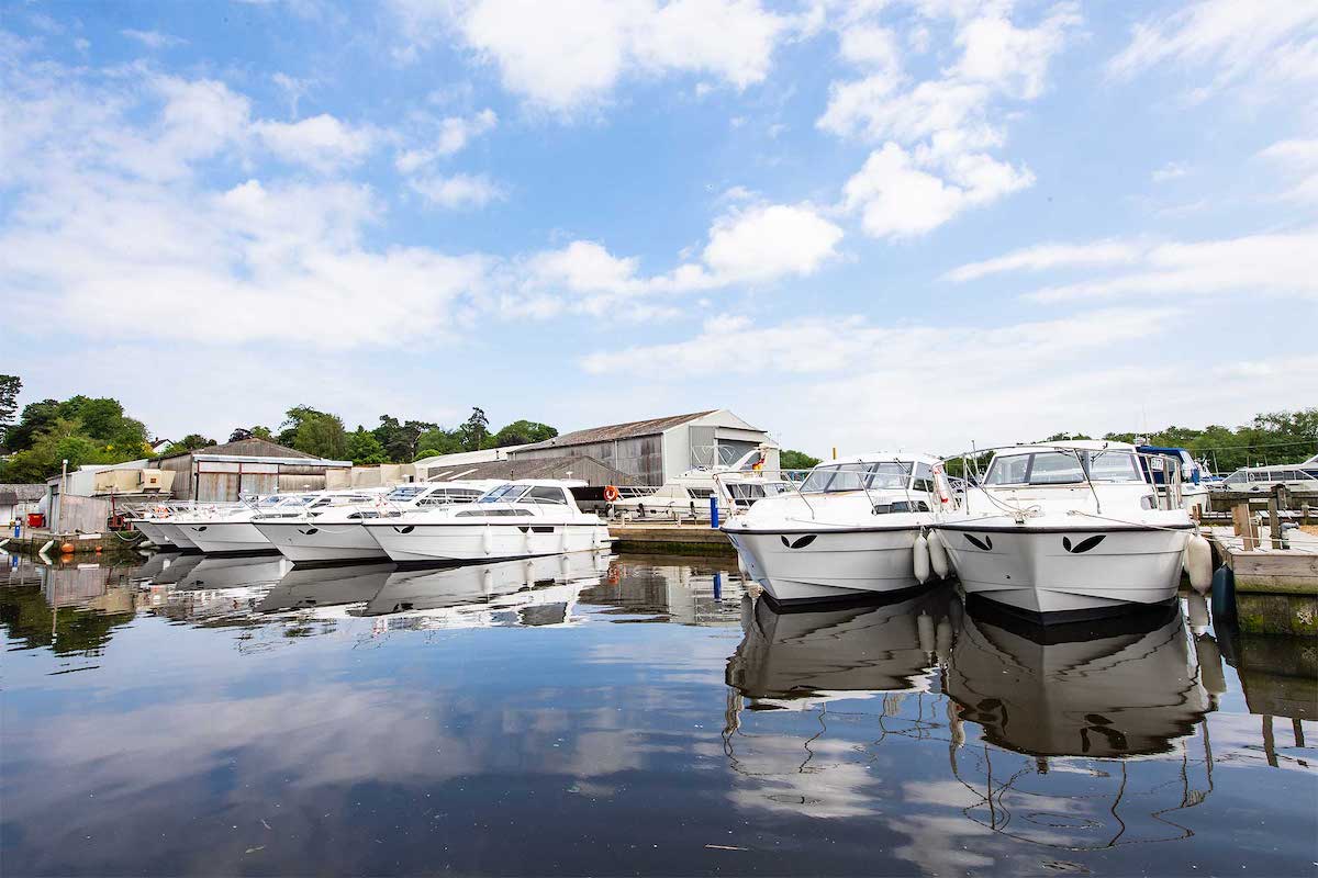 All Things Norfolk tweet media