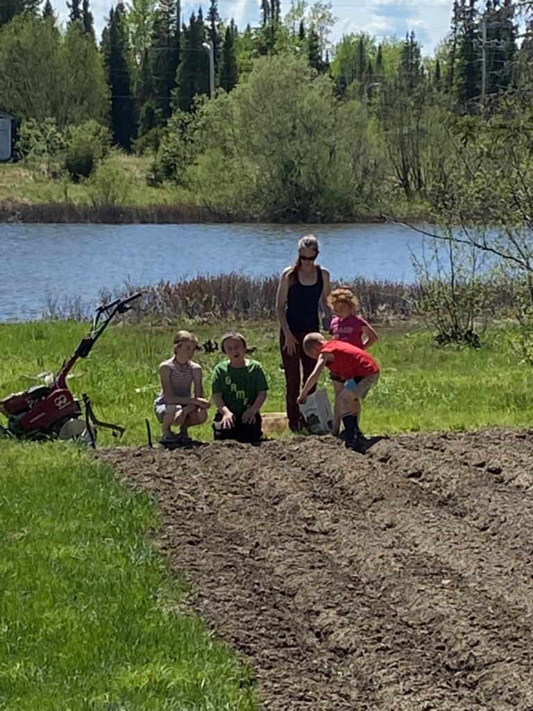 Mud Lake School tweet media