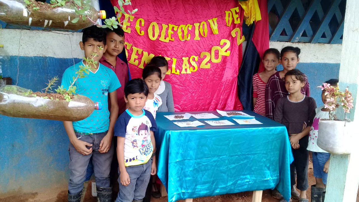 En la escuela Camilo Ortega practicamos la recolección de semillas, por un huerto escolar diversificado.
<a href="/nerp_de/">NERP:NUESTRA SEÑORA DE GUADALUPE</a> 
<a href="/Mined_Camoapa/">BYRON JAVIER MENDEZ BELLO</a> 
#4319FuerzaDeVictorias